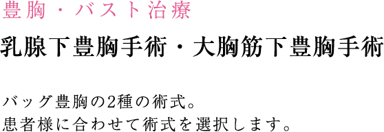 豊胸・バスト治療 乳腺下豊胸手術・大胸筋下豊胸手術 バッグ豊胸の2種の術式。患者様に合わせて術式を選択します。