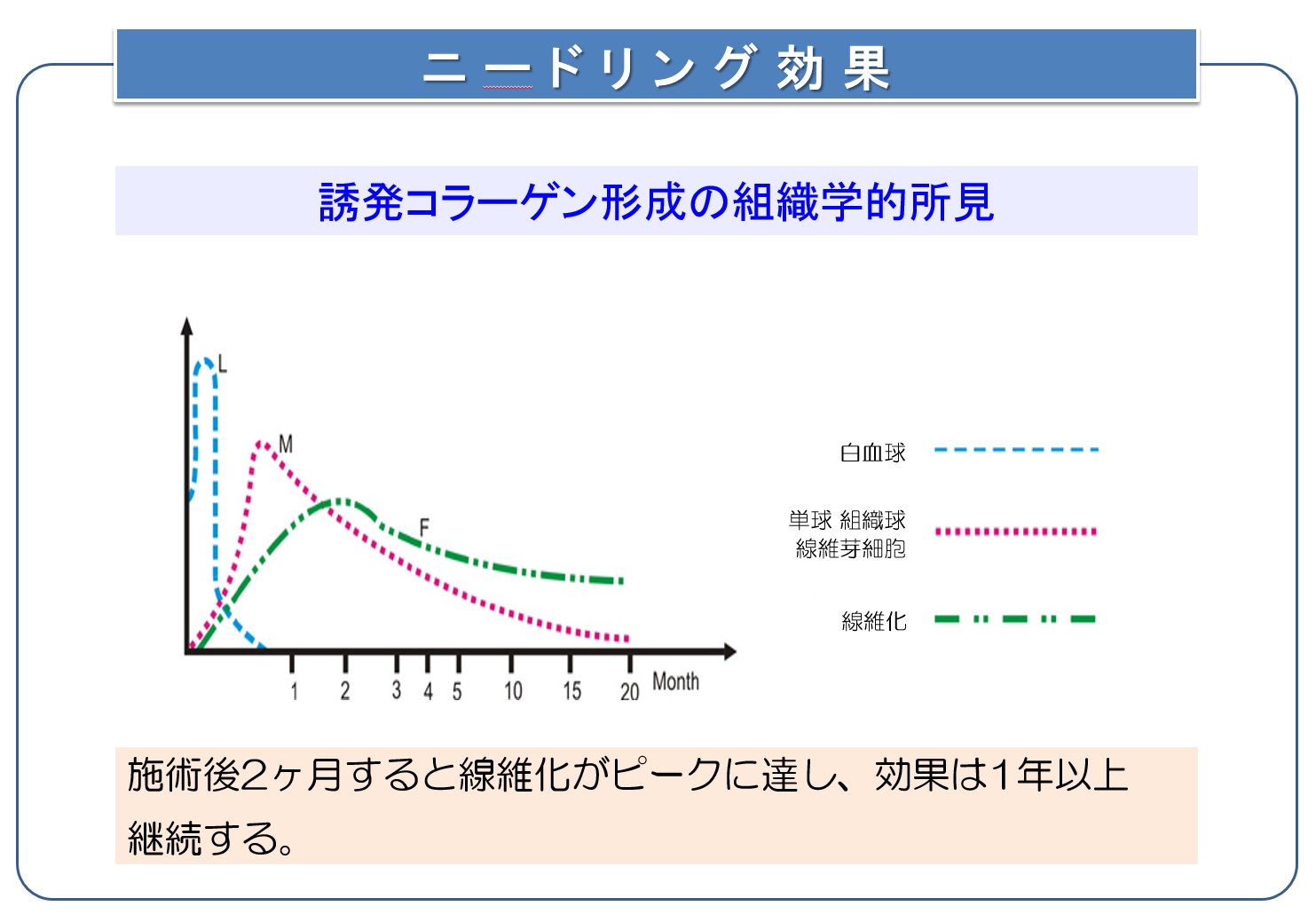 効果が長い
