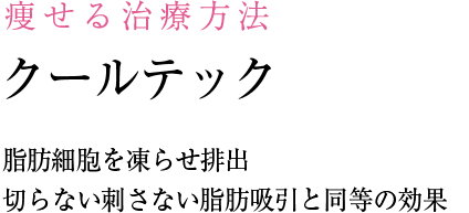 脂肪細胞を凍らせ排出　クールテック 切らない刺さない脂肪吸引と同等の効果