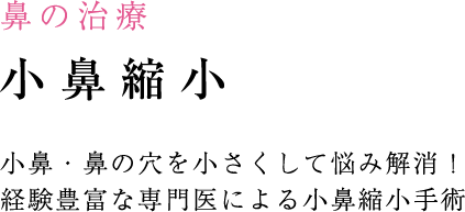 鼻の治療 小鼻縮小 小鼻・鼻の穴を小さくして悩み解消！経験豊富な専門医による小鼻縮小手術